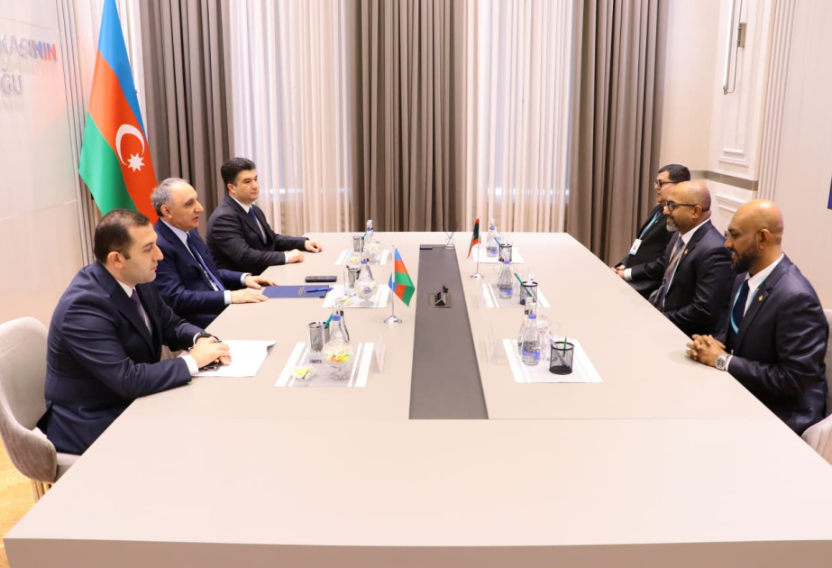 Baş Prokurorluğun Misirin və Maldivin antikorrupsiya qurumları ilə əlaqələrinin genişləndirilməsinin əhəmiyyəti vurğulanıb