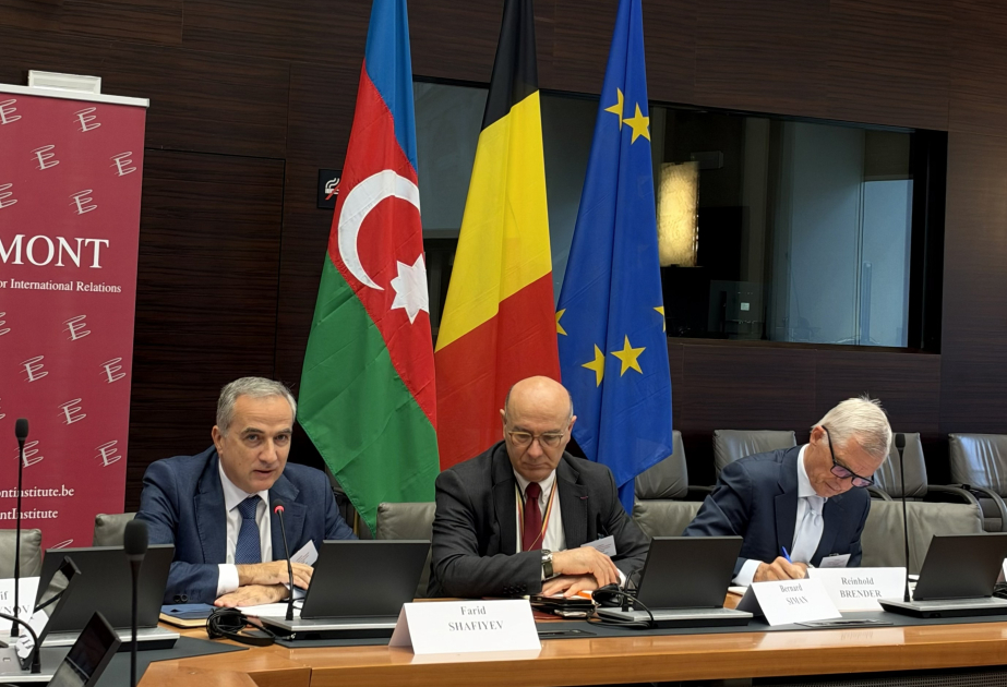 Presidente del Centro de Análisis de Relaciones Internacionales y Multiculturalismo: “Azerbaiyán ha demostrado que es posible alcanzar la paz con Armenia mediante negociaciones directas”