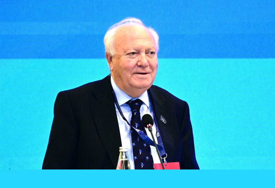 BMT-nin xüsusi elçisi: Azərbaycanın azad edilmiş ərazilərində gördüyüm dağıntılar tamamilə dəhşətli idi