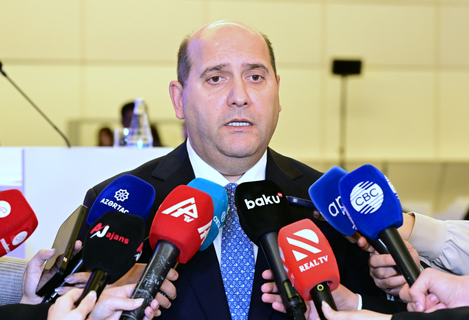 Xüsusi nümayəndə: İşğal dövründə mədəni irsimizin bir çox nümunəsi ya təhqir olunub, ya da tamamilə dağıdılıb