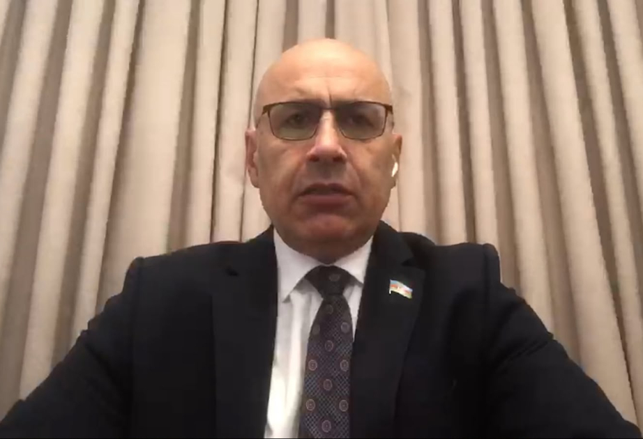 Heç bir dövlət öz təhlükəsizliyini yalnız beynəlxalq mexanizmlərin fəaliyyətinə bağlamamalıdır VİDEO