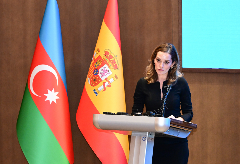Ziba Mustafayeva: Azərbaycanda bacarıqların, səriştələrin və rəqəmsal imkanların inkişafı prioritetlərimizdəndir