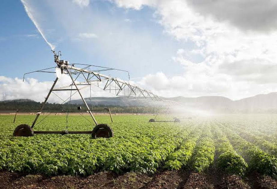 Researchers propose new irrigation to balance water conservation, food security in China