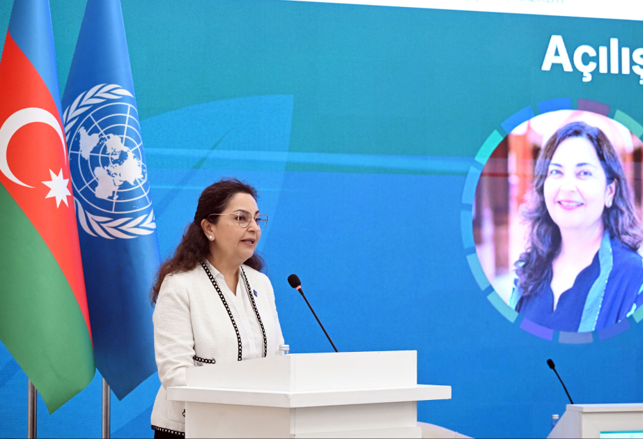 Sunniya Durrani-Camalı: AİB regional yaşıl enerji əlaqələrinin qurulması istiqamətində iş aparır