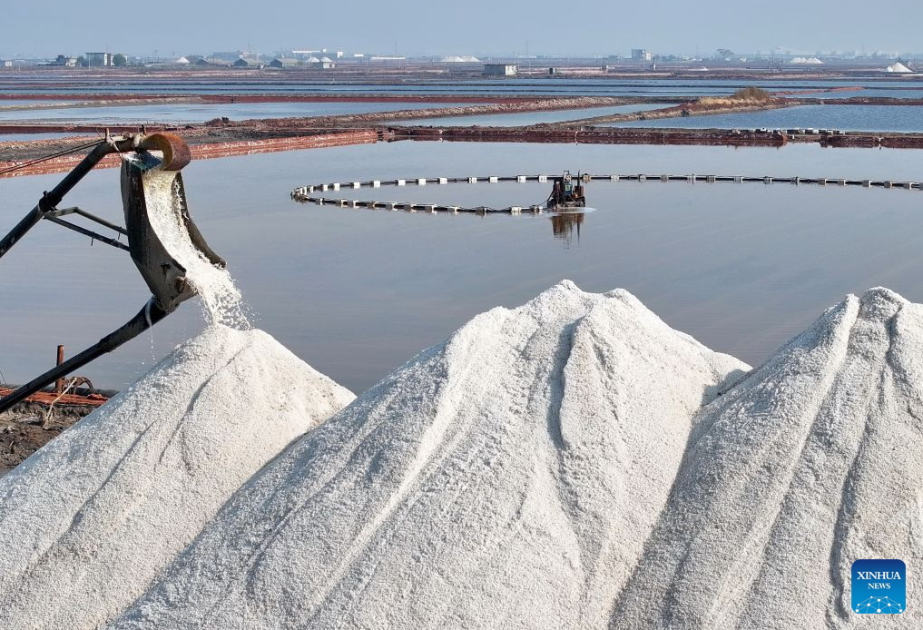 Salt harvested at Nanpu salt farm in Caofeidian District of Tangshan, China's Hebei