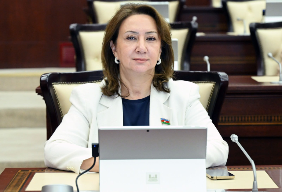 Milli birlik və müstəqil siyasət Azərbaycanın beynəlxalq nüfuzunun əsasını təşkil edir -  ŞƏRH