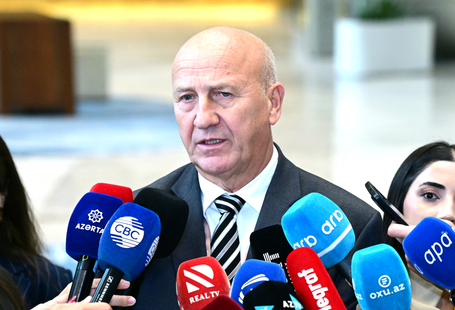 İvitsa Boşnyak: Azərbaycan kimi tərəfdaş dövlətlərin təcrübəsi bizim üçün çox əhəmiyyətlidir