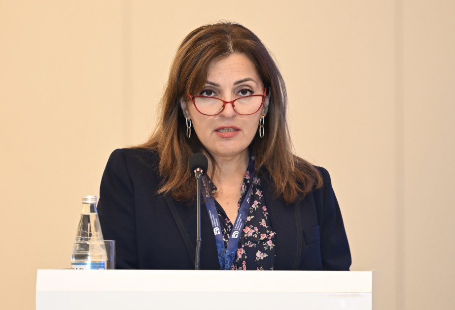 Dövlət Xidmətinin rəisi: “Azərbaycan mədəniyyəti – 2040” Konsepsiyası beynəlxalq əməkdaşlığın gücləndirilməsini nəzərdə tutur
