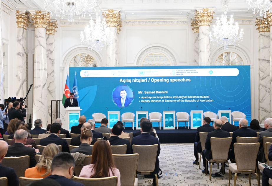 9-cu Dayanıqlı İnkişaf Məqsədləri Dialoqunda Azərbaycanın milli iqlim öhdəliklərinin icrasının sürətləndirilməsi müzakirə olunub