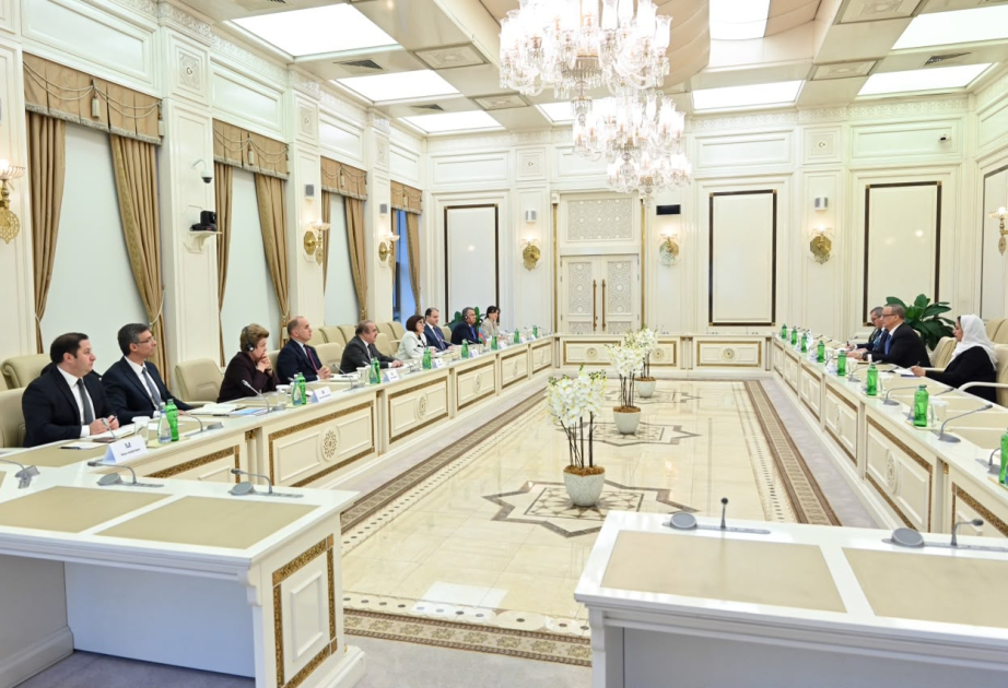رئيسة المجلس الوطني الأذربيجاني تبحث مع الأمين العام للتعاون الإسلامي التعاون البرلماني وتعزيز التضامن الإسلامي