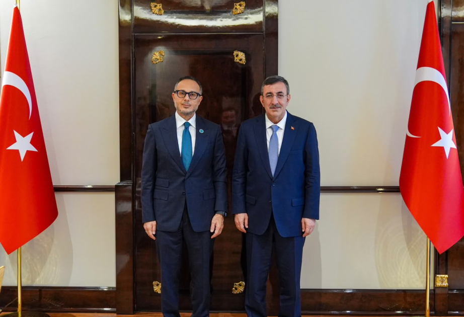 TURKPA Secretary General meets with Turkish Vice President