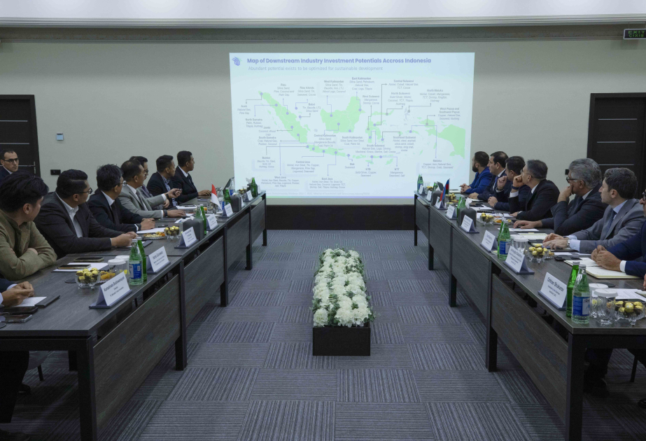 Azerbaijan, Indonesia discuss partnership opportunities in mining sector