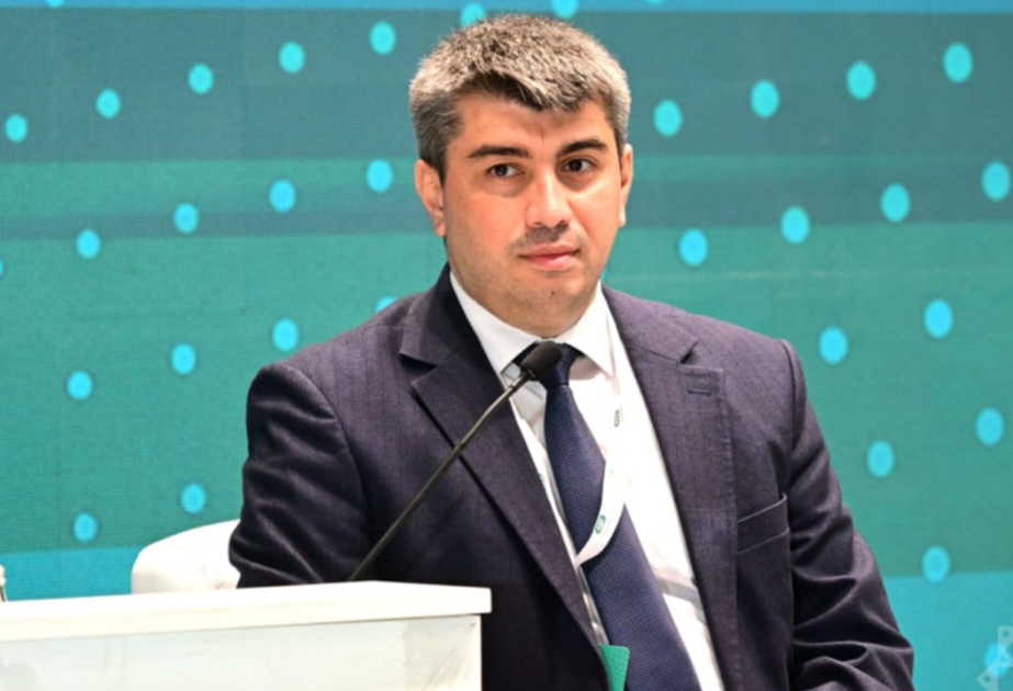 Azərbaycan qlobal sülhün təminatçısı kimi: mədəniyyətlərarası dialoqdan beynəlxalq həmrəyliyə