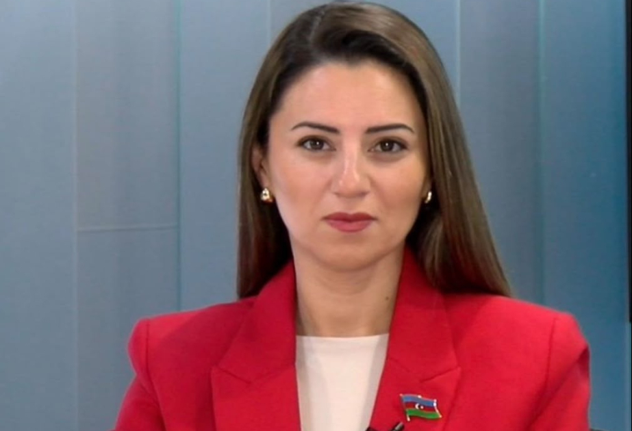 “Bakı Prosesi”nin əsas siyasi fəlsəfəsi fərqlilikləri qarşılıqlı zənginləşmə imkanı kimi qiymətləndirməkdir