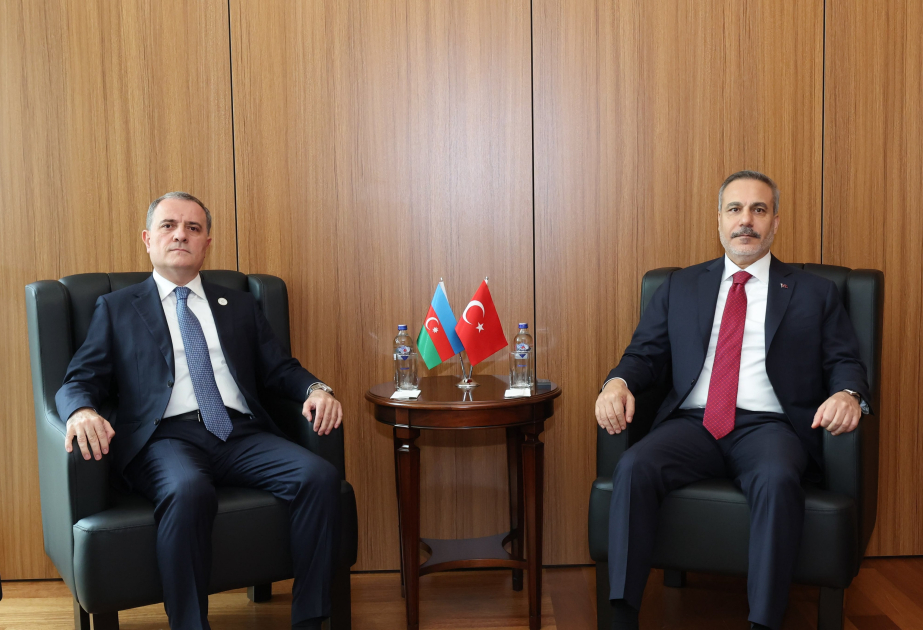 Azerbaijan, Türkiye explore bilateral ties
