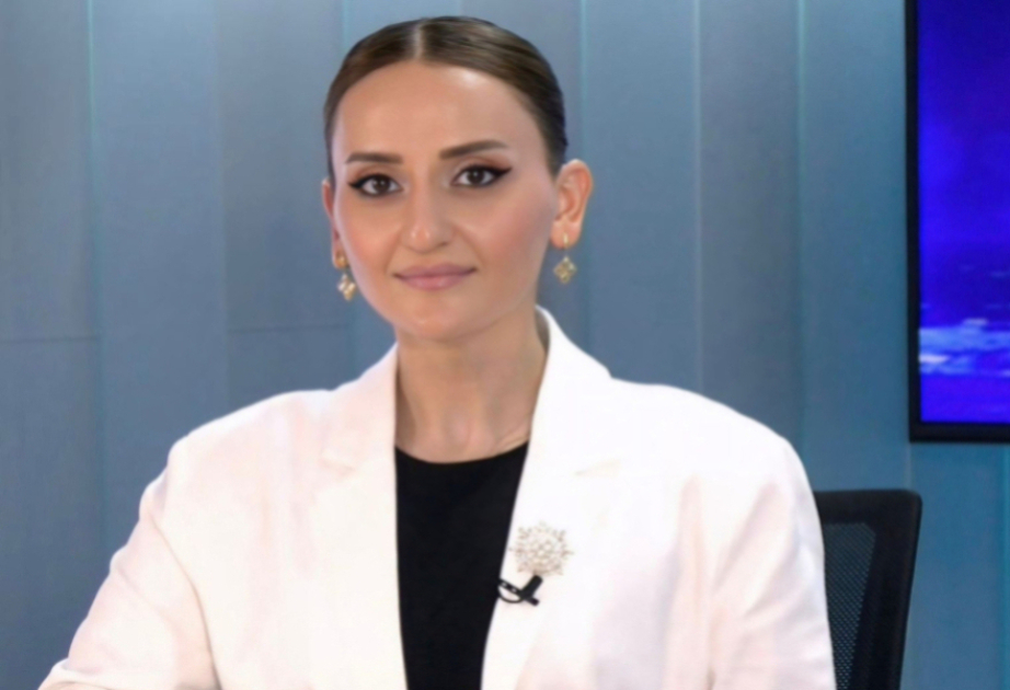 İƏT platforması Azərbaycan üçün mühüm siyasi-diplomatik dayaq olub -  ŞƏRH