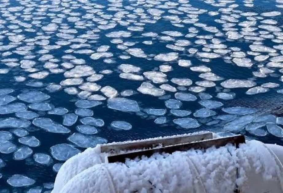 Antarctic sea ice loss disrupts ocean freshwater system: study