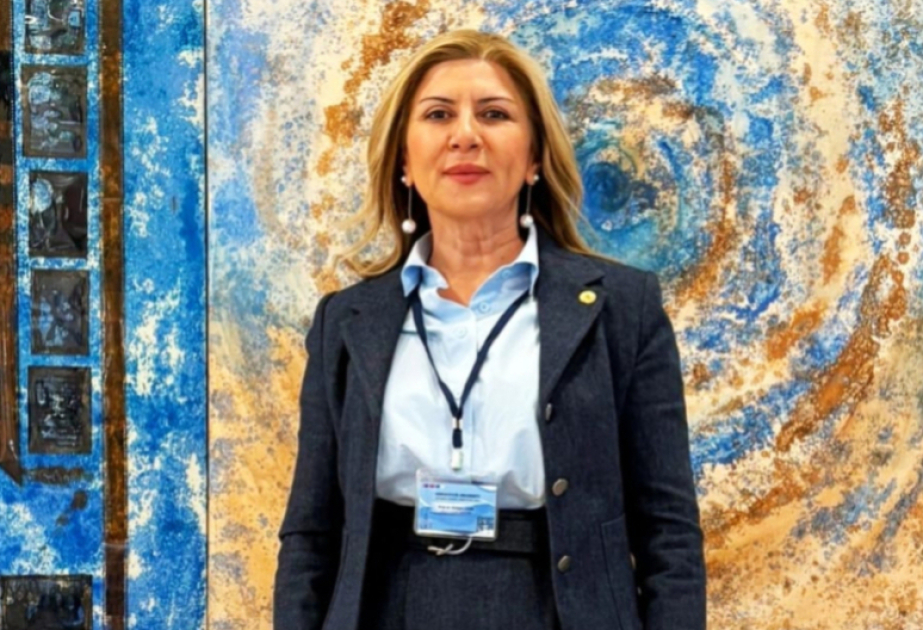 Türk professor: Azərbaycanın beynəlxalq platformalarda fəallığı xarici siyasətin yeni mərhələsini müəyyən edə bilər