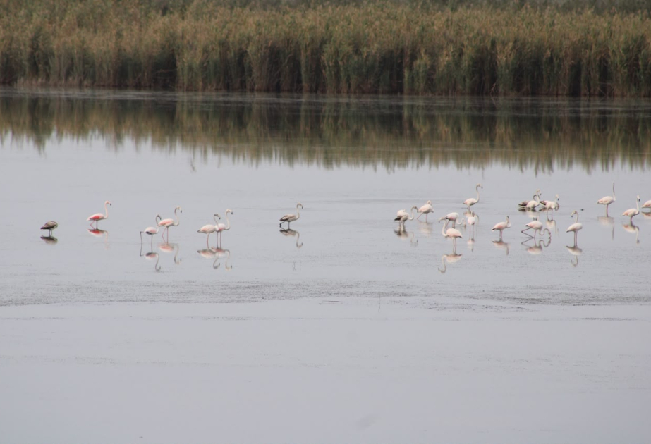 Le Parc national de Chirvan : une riche biodiversité et un écosystème unique