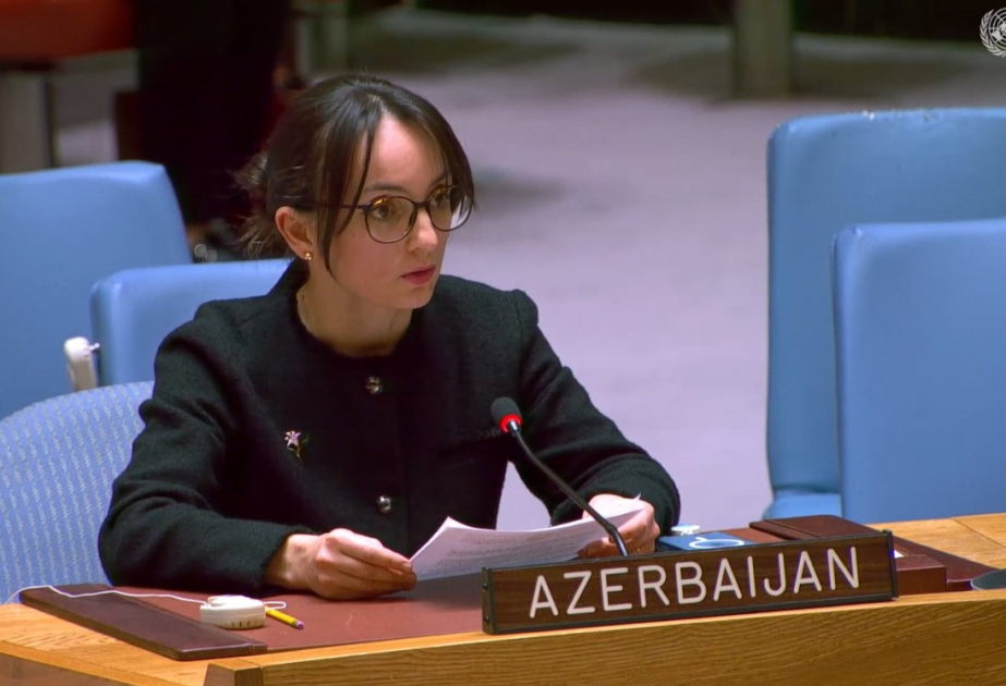 Представитель Азербайджана рассказала в ООН о минной угрозе и пропавших без вести лиц