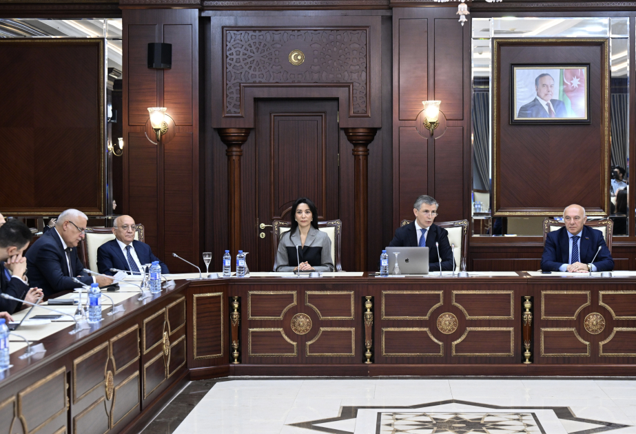 Ombudsman vəzifəsinə namizədlər müəyyənləşib