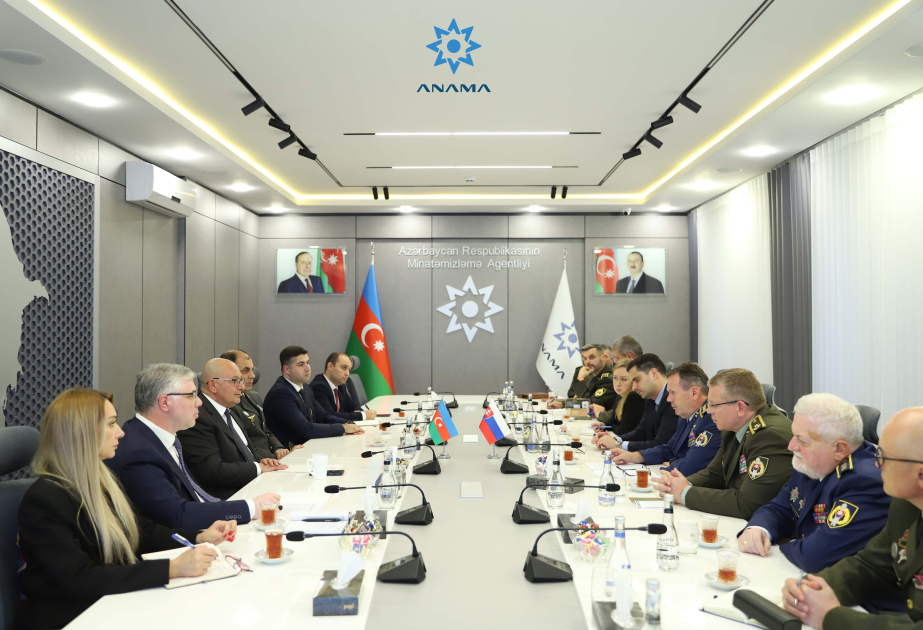 Se analiza el posible apoyo de Eslovaquia a las actividades de desminado en Azerbaiyán