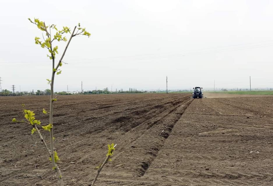 Потенциал плодородия земель на разминированных территориях высок