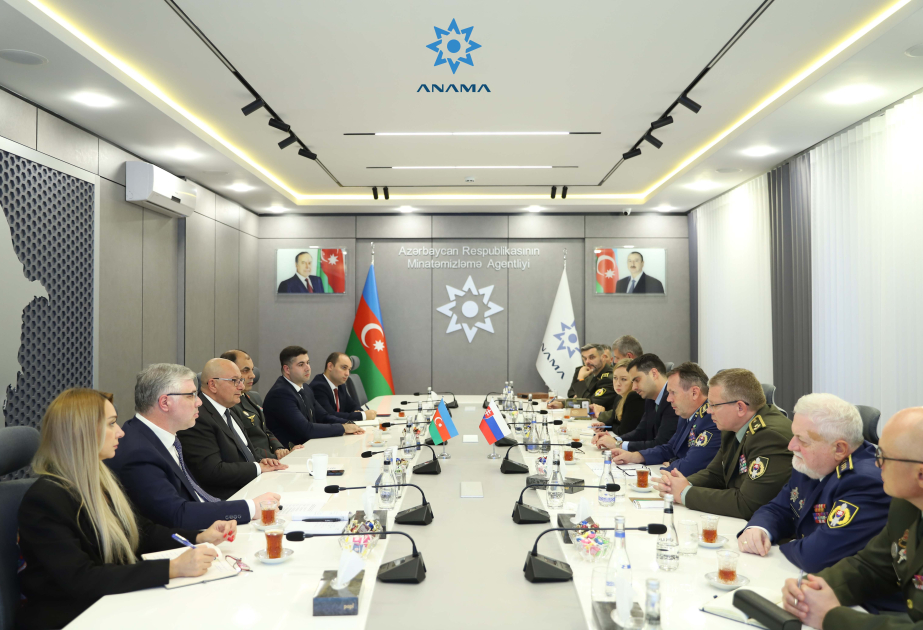 Azerbaijan, Slovakia explore cooperation in mine action