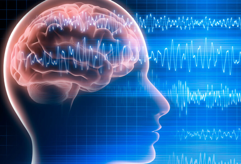 Brain signals may offer new insights into autism and decision-making