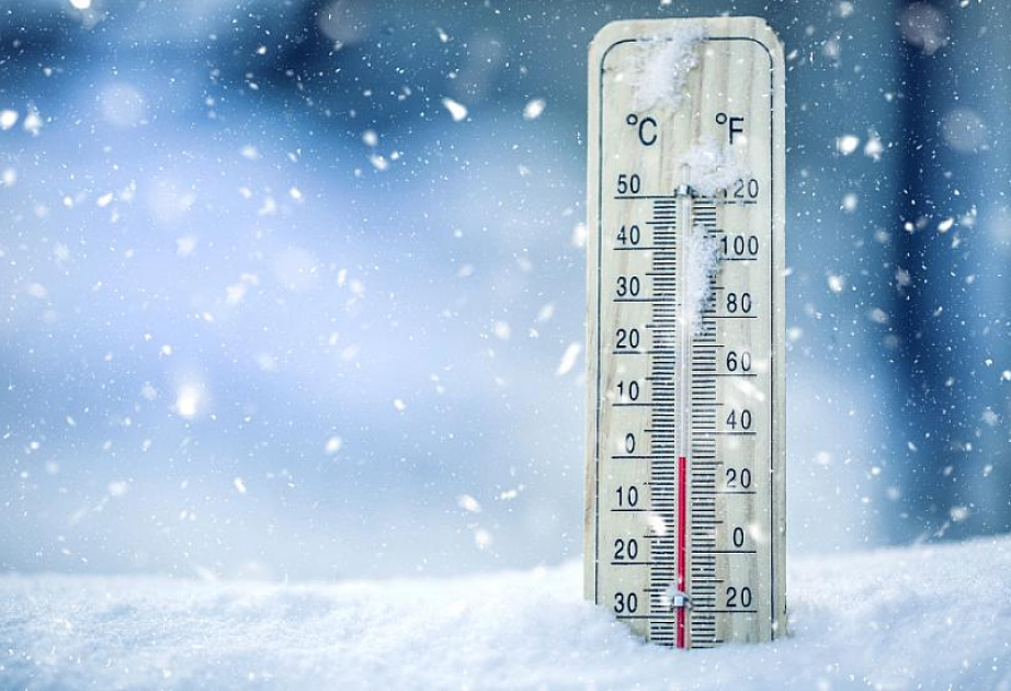 Alimlər soyuq temperaturun ömrü uzatmağa kömək edə biləcəyini müəyyənləşdiriblər