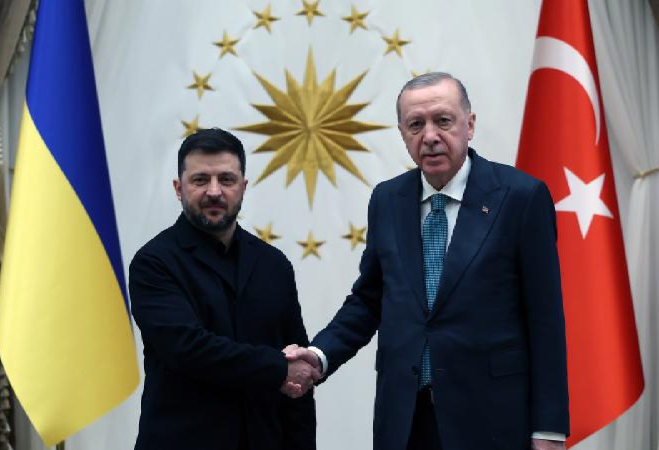 В Стамбуле пройдут переговоры лидеров Турции и Украины