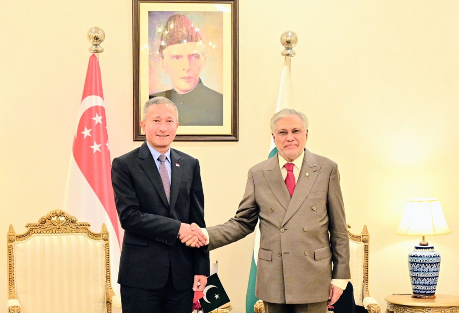 Pakistan, Singapore vow to further strengthen economic, diplomatic ties