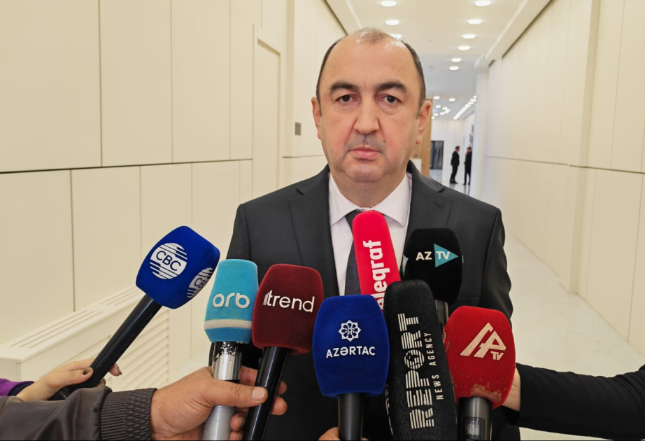 Vüqar Kərimov: Cəbrayıl ərazisində beynəlxalq meşə təlim və tingçilik mərkəzi tikilib
