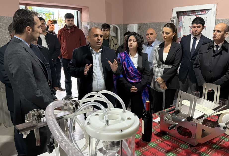 2030-cu ilədək Azərbaycanda butik şərabçılıq müəssisələrinin sayı 4 dəfə artırılacaq