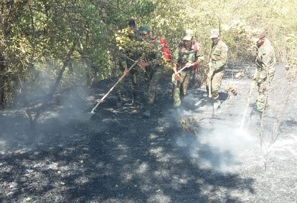 Cəlilabadda baş verən yanğın söndürülüb 