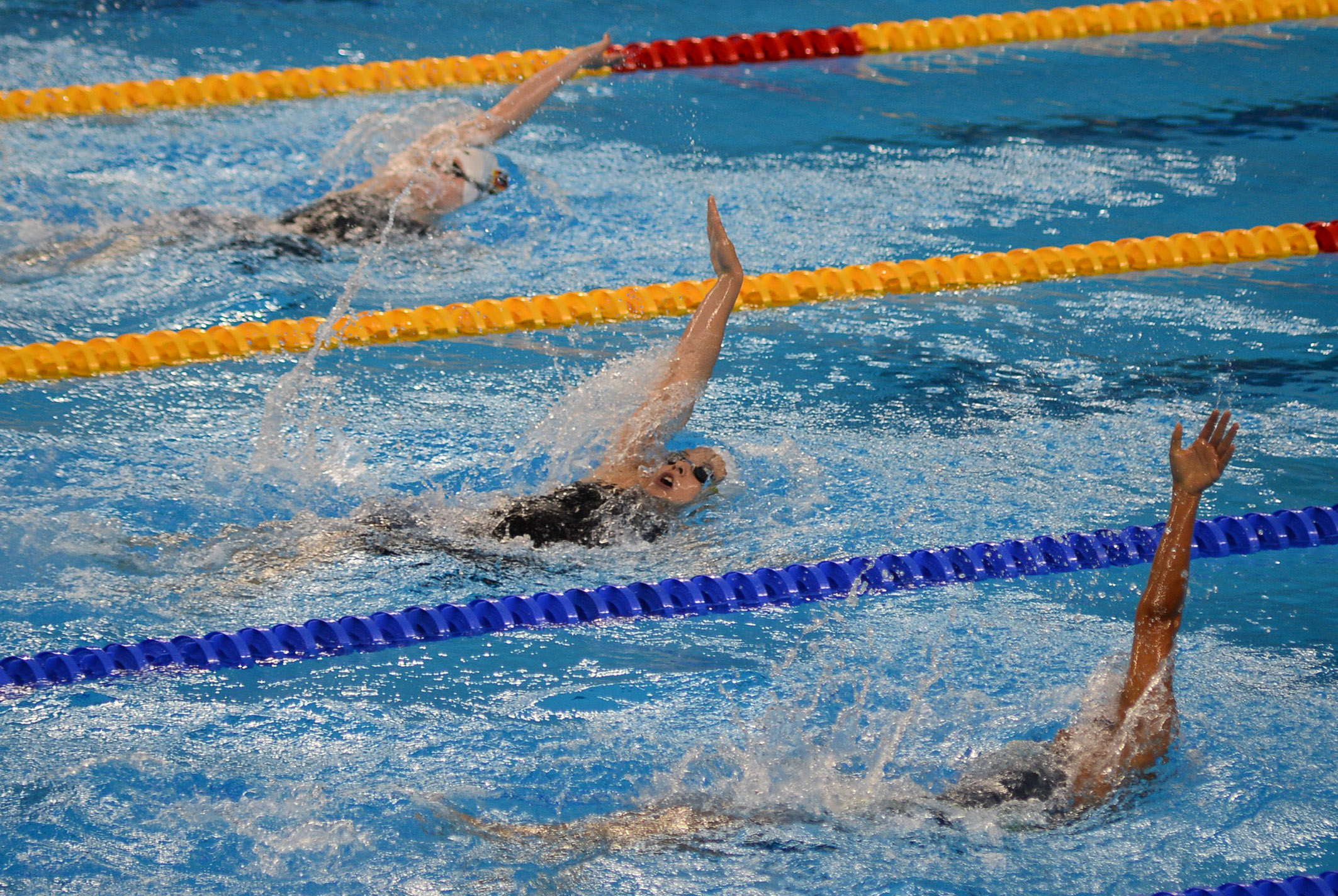 Игра плавание соревнования. Плавание (спорт). Водные виды спорта. Плавание соревнования. Водные виды спорта плавание.