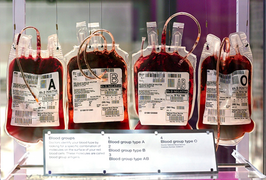 Срок хранения плазмы. Пакеты для хранения крови. Пакет с кровью для переливания.