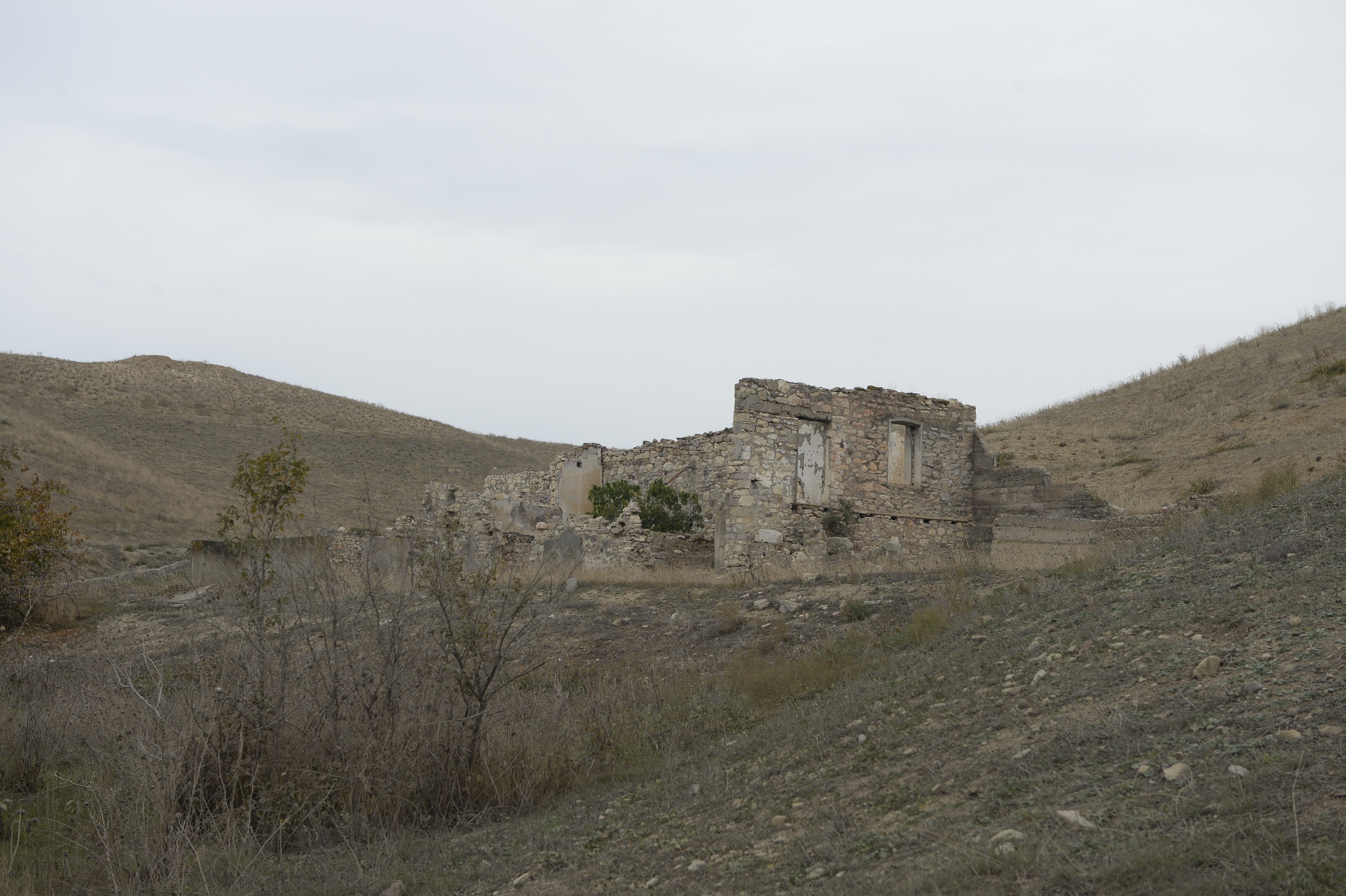 армения село фиолетово