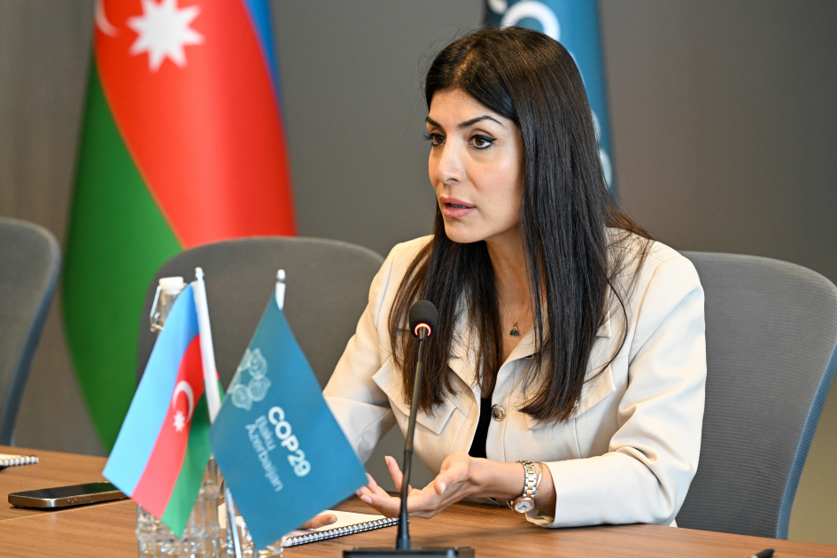 Biznes nümayəndələrinə COP29 tərəfdaşlıq proqramı təqdim olunub