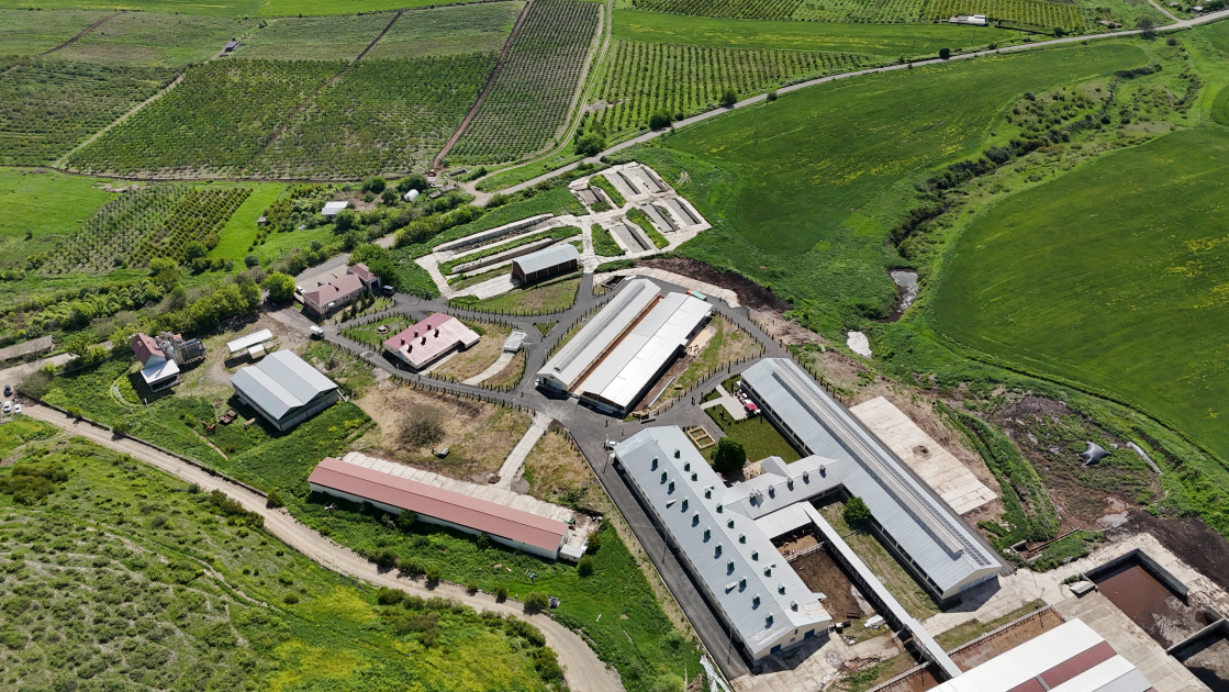 “Qoç Ət” Kəndli Fermer Təsərrüfatı MMC-nin Xocalının Xanabad kəndindəki heyvandarlıq kompleksinin açılışı olub YENİLƏNİB “Qoç Ət” Kəndli Fermer Təsərrüfatı MMC-nin Xocalının Xanabad kəndindəki heyvandarlıq kompleksinin açılışı olub YENİLƏNİB