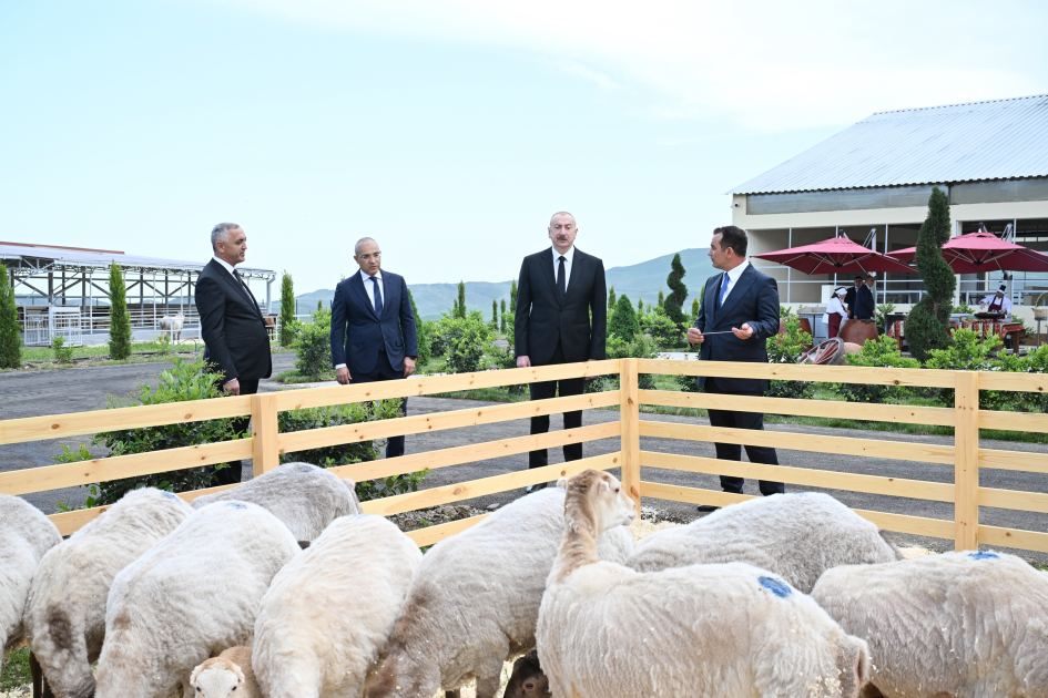 “Qoç Ət” Kəndli Fermer Təsərrüfatı MMC-nin Xocalının Xanabad kəndindəki heyvandarlıq kompleksinin açılışı olub YENİLƏNİB “Qoç Ət” Kəndli Fermer Təsərrüfatı MMC-nin Xocalının Xanabad kəndindəki heyvandarlıq kompleksinin açılışı olub YENİLƏNİB