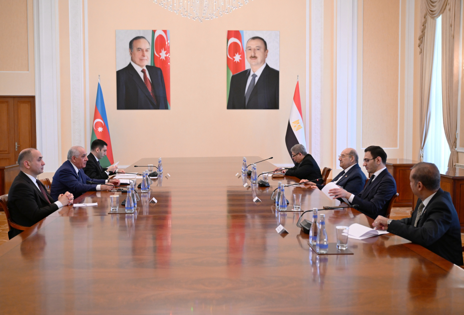 Baş nazir Əli Əsədov Misir Senatının sədri ilə görüşüb