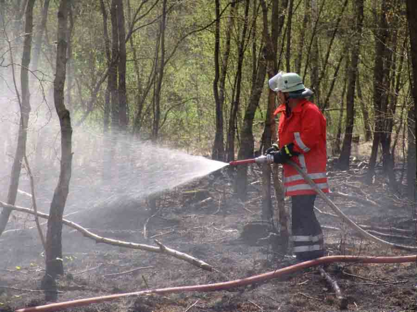 Bosniya və Herseqovinada meşə yanğınları ilə mübarizə aparılır