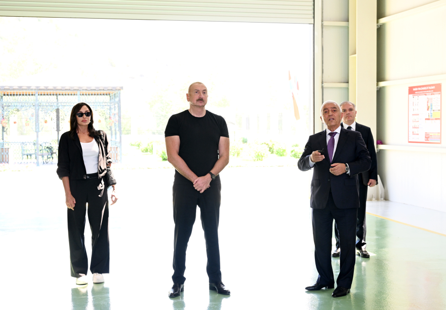 Kəlbəcərin Vəng kəndində “Aşağı Vəng”, “Nadirxanlı” və “Çaykənd” kiçik su elektrik stansiyalarının açılışı olub