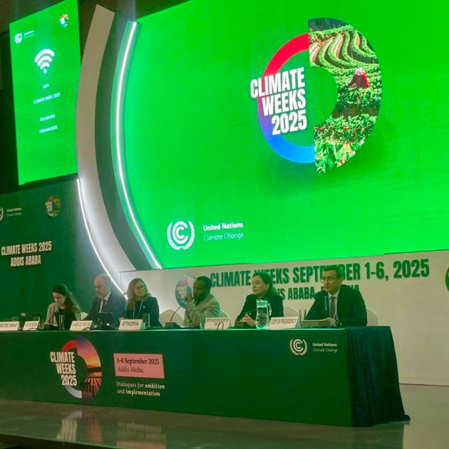 COP29: Əddis-Əbəbədə Bakı Maliyyə Məqsədinin icrasının sürətləndirilməsinə çağırış edilib
