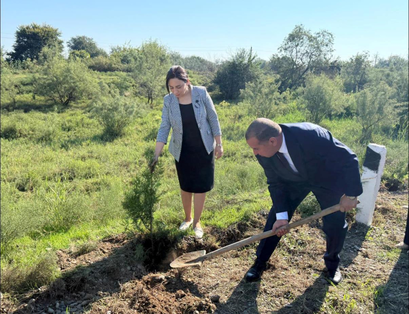Anım Günü münasibətilə Ağcabədi və Beyləqan rayonlarında ağacəkmə aksiyaları keçirilib