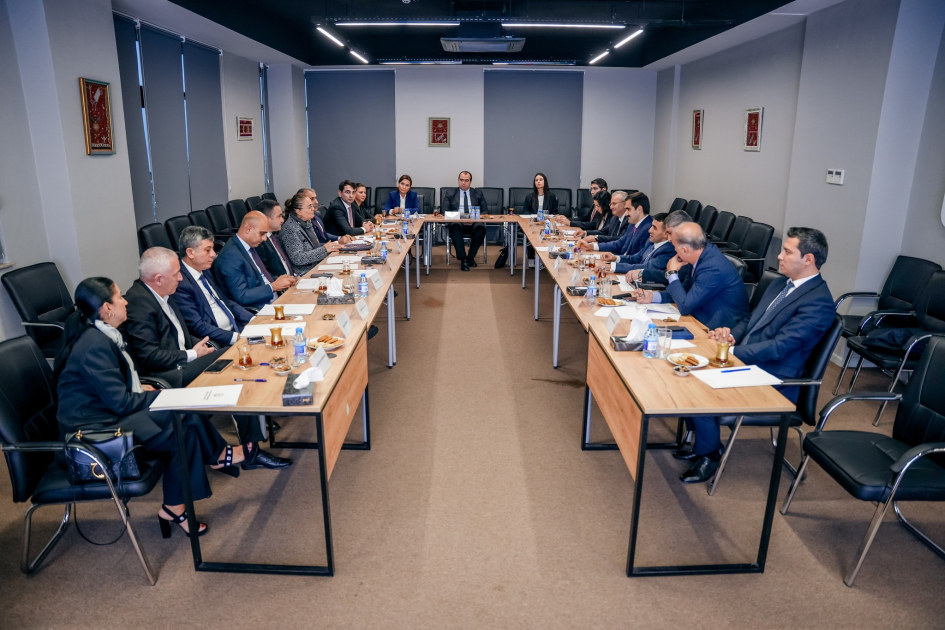 Mədəniyyət və təhsil sahələrinin inteqrasiyasına dair müzakirə aparılıb