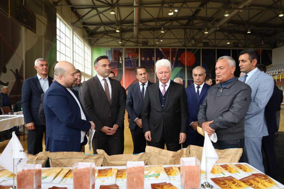 Cəlilabadda Aqrar Biznes Festivalı və toxum sərgi-satış yarmarkası keçirilib