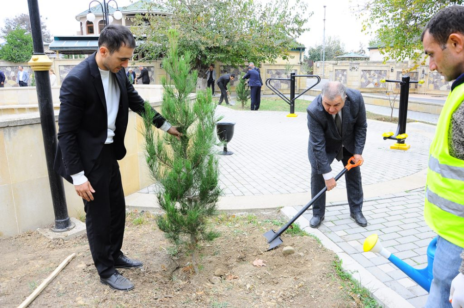 Naftalanda Zəfər Günü ərəfəsində ağacəkmə aksiyası keçirilib