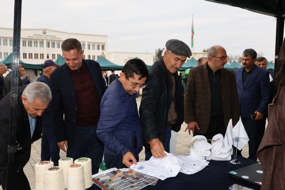 Saatlıda Aqrar Biznes və “Pambıq” festivalları - ixracyönümlü istehsal təşviq olunur